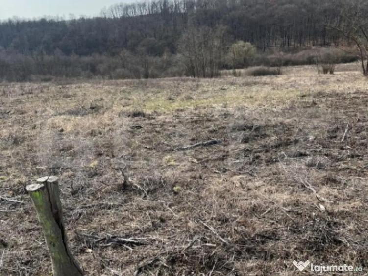 Teren intravilan de vanzare, 9783 mp, Paleu zona Iacului - 1