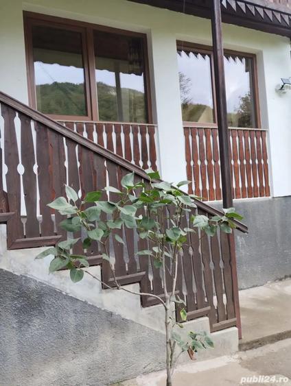 vand cabana la Rimetea,Alba - 4