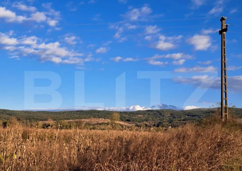 Teren extravilan cu poten?ial IMENS de dezvoltare in BAC - 2