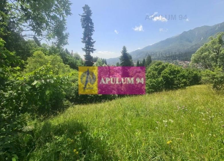 Teren de v&acirc;nzare &icirc;n Bușteni - Zona Zamora - 12