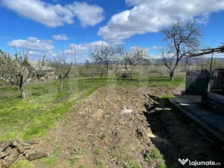Casa cu 3 camere, 90 mp, 2 anexe gospodaresti si teren de 30 - 1