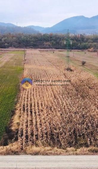 Teren intravilan de vanzare 5533 mp - Alexandru cel Bun