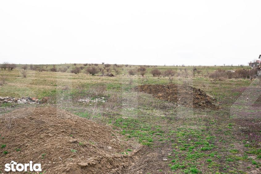 Teren 5800 mp in Campenesti cadru natural deosebit, ideal pentru i - 4