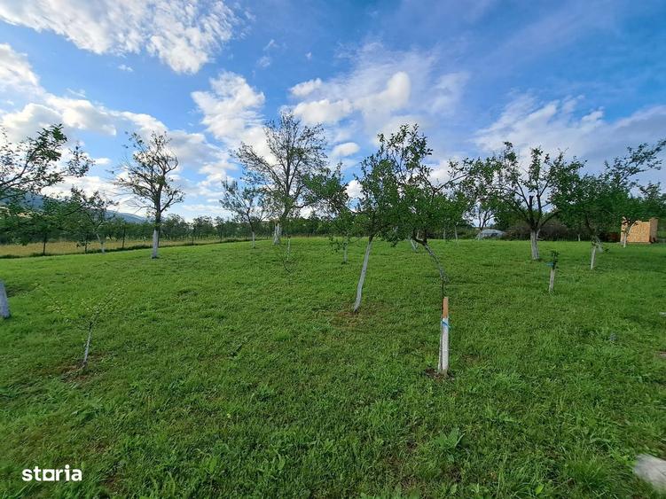 Teren (2400mp)de vanzare in Galda de Jos- Benic - 8