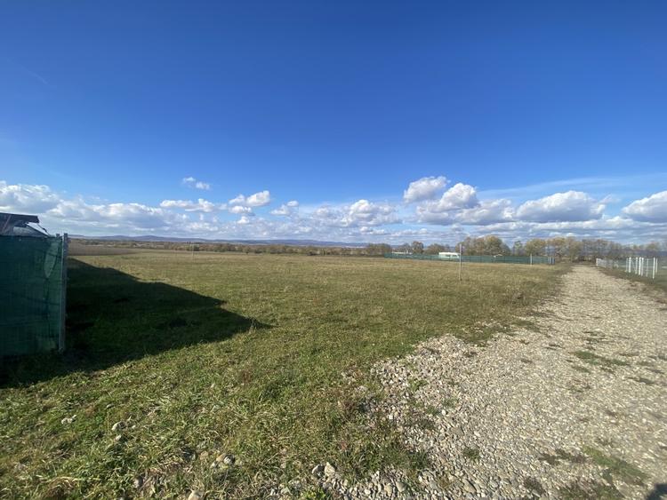 Teren Intravilan 1000 mp Bicfalau - 7