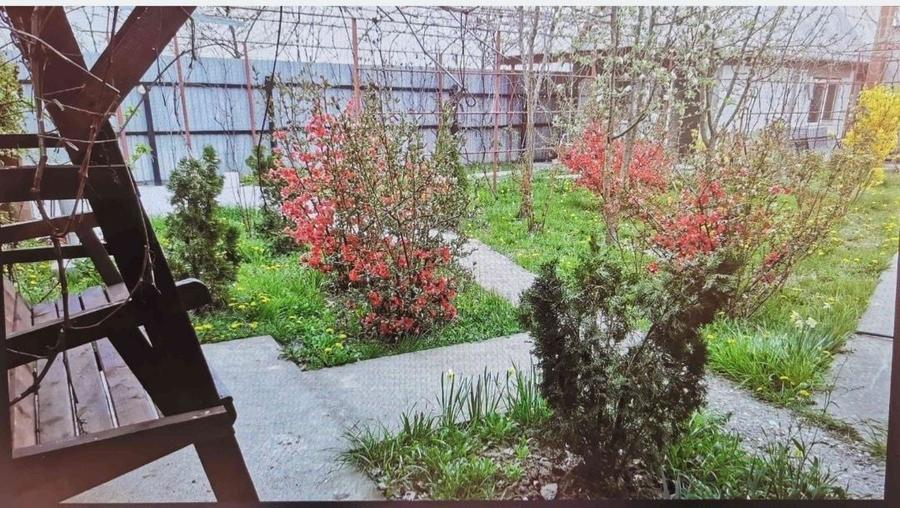 Teren 15 km de Bucuresti 2 constructii, fundatie 90mp, put apa, fosa.. - 4