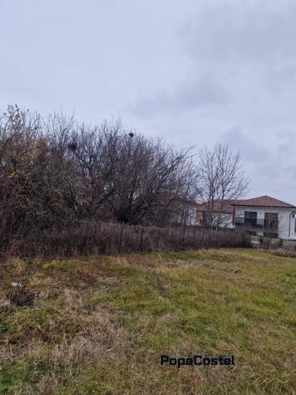 Tunari - Camil Petrescu teren 1000 mp deschidere 23 ml, electricitate, canal - 2