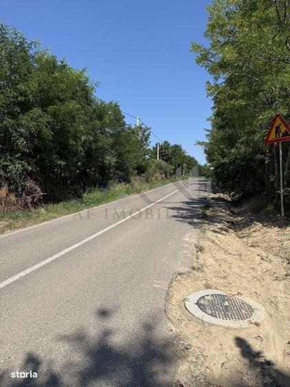 Aroneanu TEREN 14400mp intravilan cu utilitati zona construibila - 3