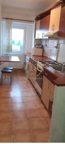 De inchiriat apartament 1 camera, 42 mp, zona semicentrala, aproape de USAMV - 3