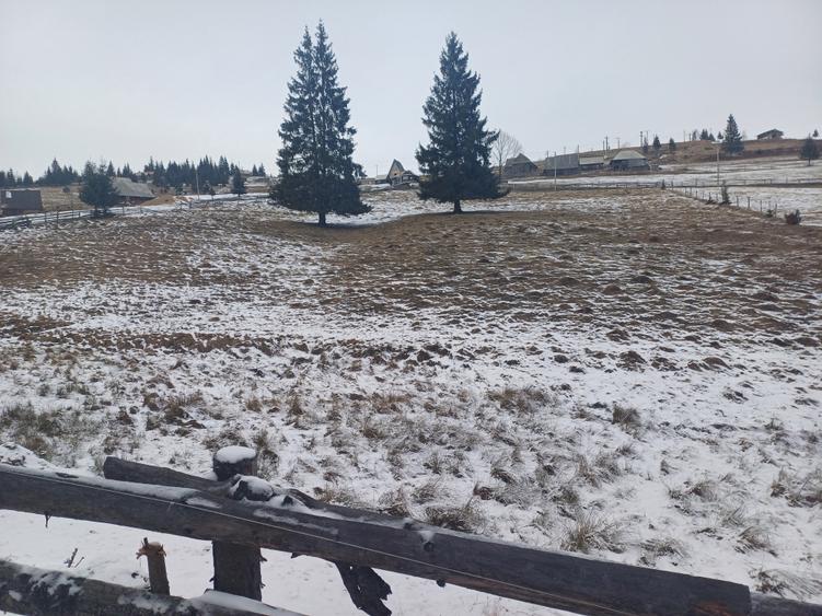 Vand teren intravilan muntele rece - 2