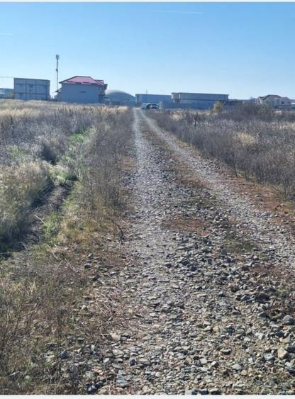 Teren intravilan 1000 mp – Magnolia - 1