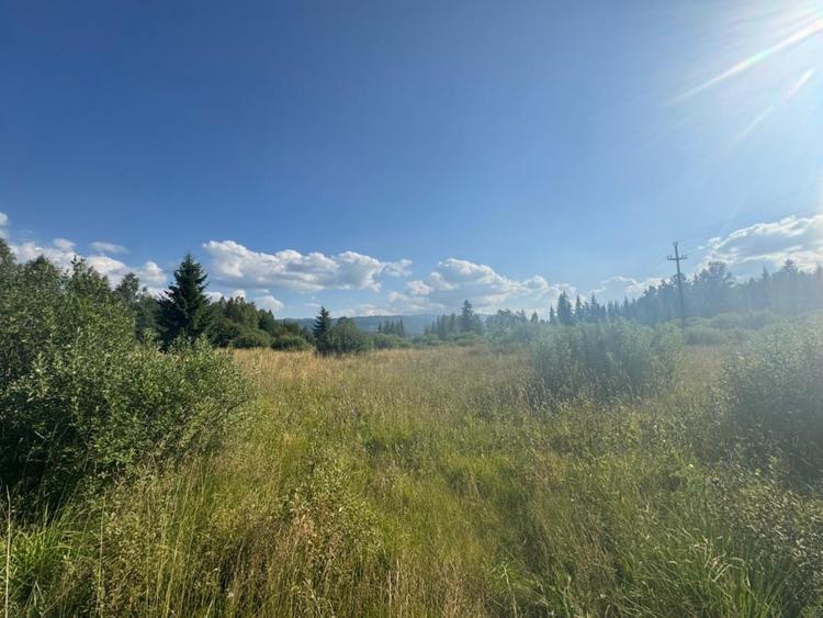 12700 mp investitie rezidențială- turistică- medicală Tinovul Mic/Șaru Dornei - 5