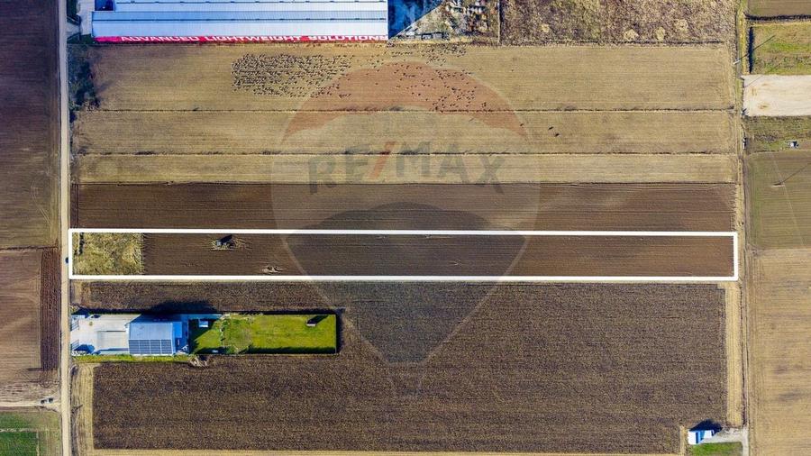 COMISION 0% Teren 25,000mp Ghimbav / Strada Sanzienei - 10