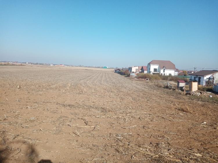 Teren extravilan Oradea 12264 MP langa Calea Santandrei, str Jupiter - 4