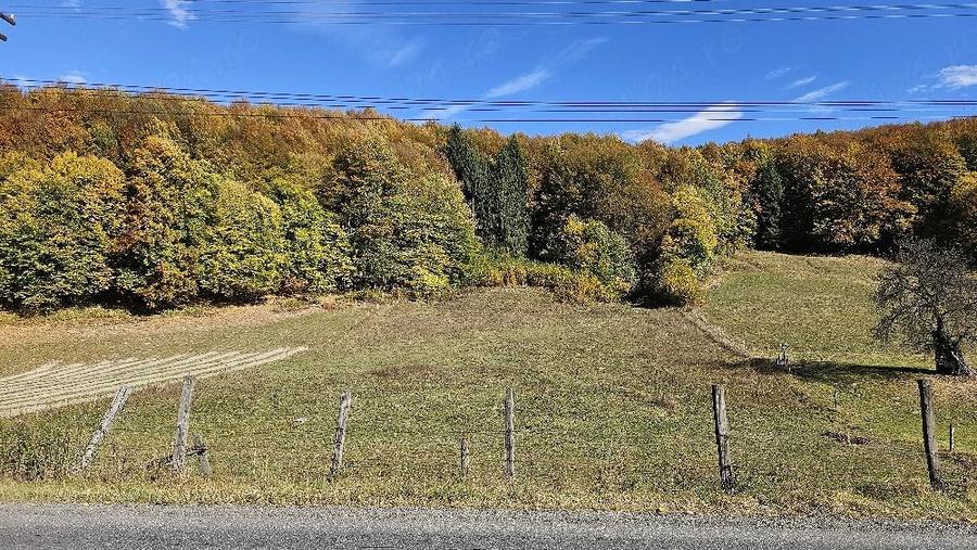 Teren de 5200 mp, în Teliu