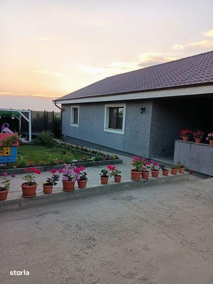 Vand casa in sat Costi - 1