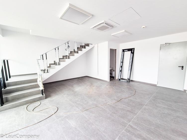 Hale,spatii industriale Albota,Pitesti Arges - 8