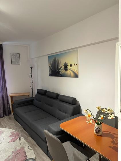 Apartament cu o camera - 7