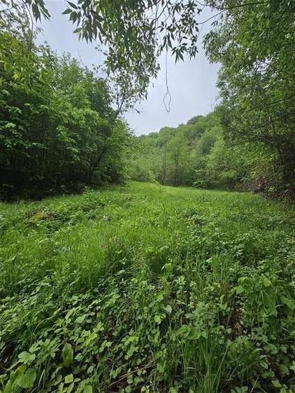 TEREN  PENTRU BUSSINESS 2842 MP DE VANZARE IN STATIUNEA  TARGU OCNA - 9