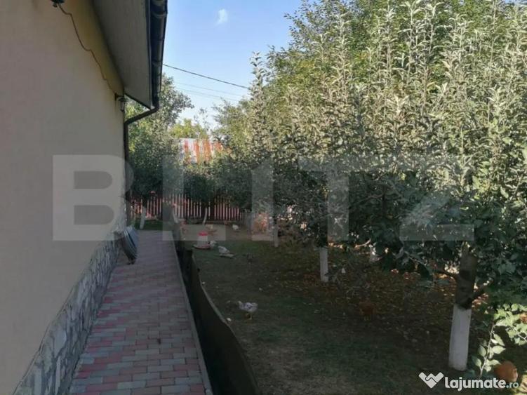 Casa 5 camere, 1100 mp teren, Birnova - 10