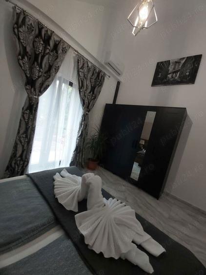 De vanzare 349900 euro casa cu 2 apart. in centru istoric Timisoara - 2