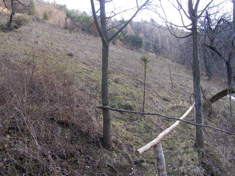 Teren intravilan  Brasov - 7