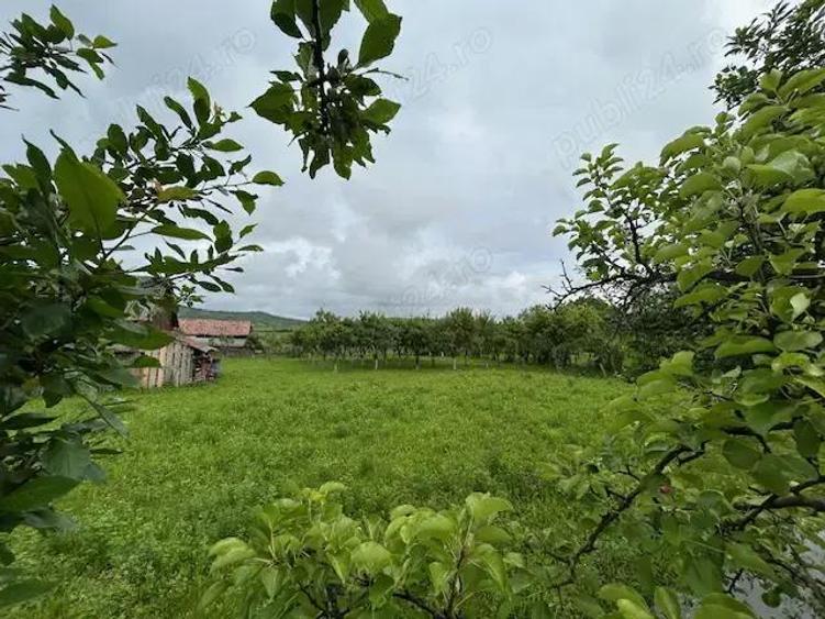 Vanzare Casa in Rusii-Mun?i, Jude?ul Mure? - 3