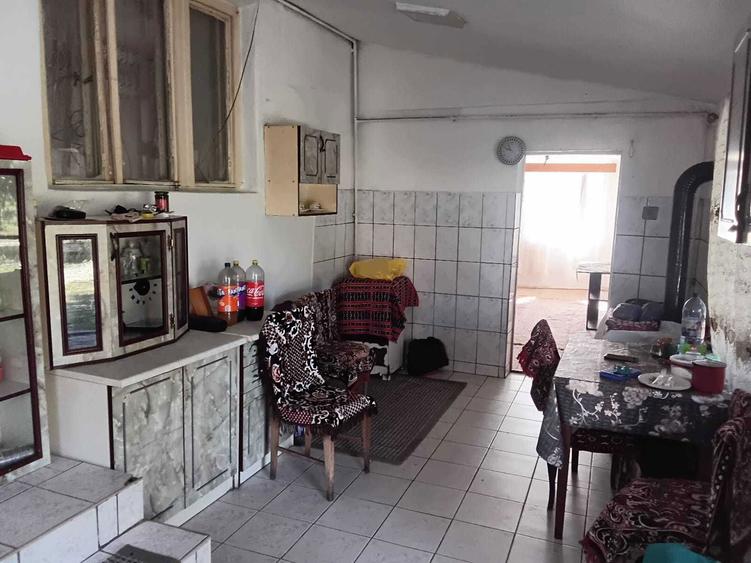 Casa de vanzare cu curte,gradina 2500mp - 8