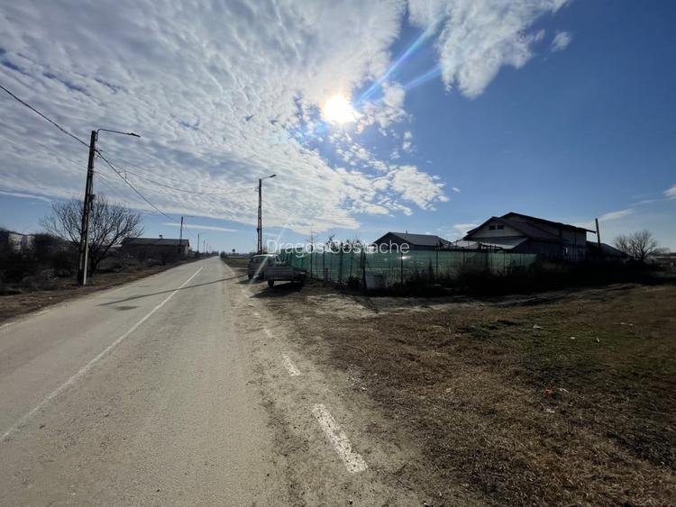 Domnesti, Teghes, teren in suprafata de 21278mp, deschidere 41ml, gaz si curent.