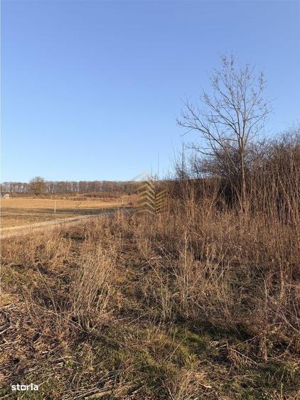 DE VANZARE TEREN EXTRAVILAN - 8