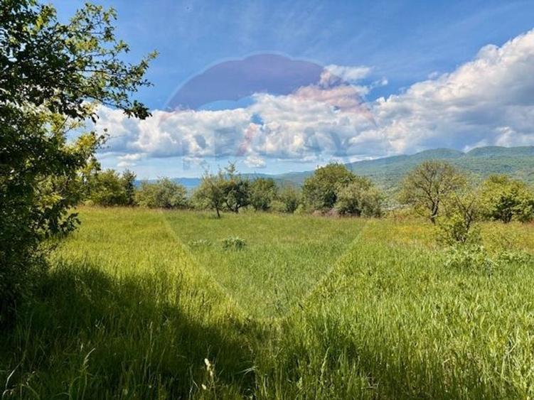 Teren 5,565mp Giulesti / Strada PRINCIPALA - 1