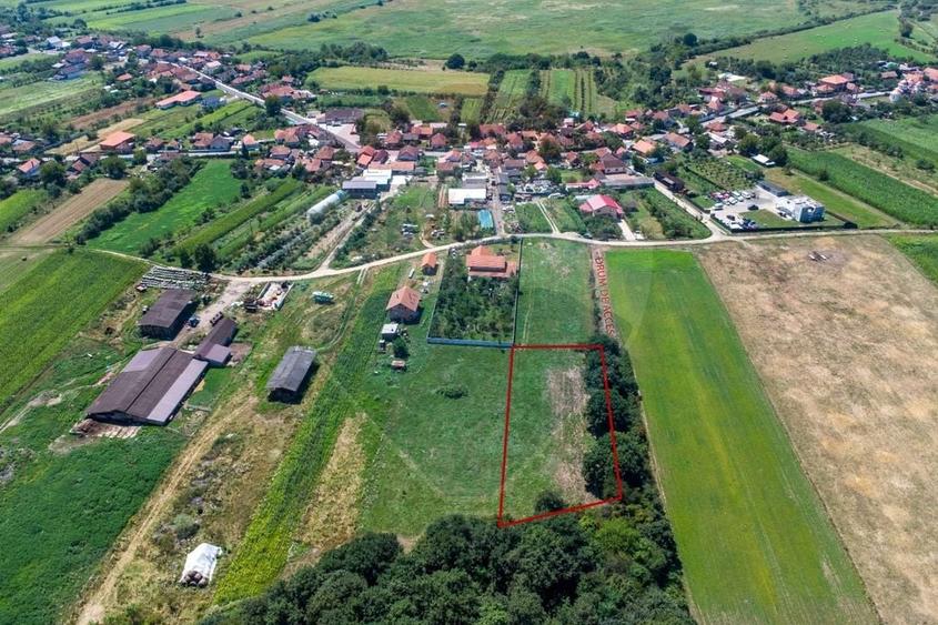 Teren intravilan Balata /Hunedoara - 1