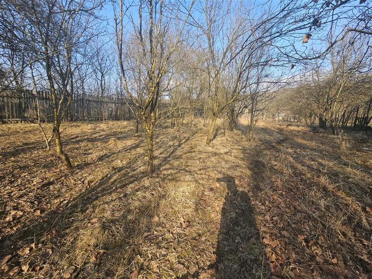 Teren 1000 mp si casa renovabila in Valcanesti . - 8