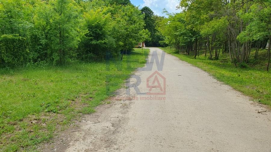 De vanzare 2.770mp teren intravilan Snagov - 5