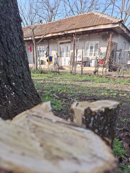 Refugiu la ?ara, aproape de Bucure?ti casa tradi?ionala cu teren 3.113 mp - 3
