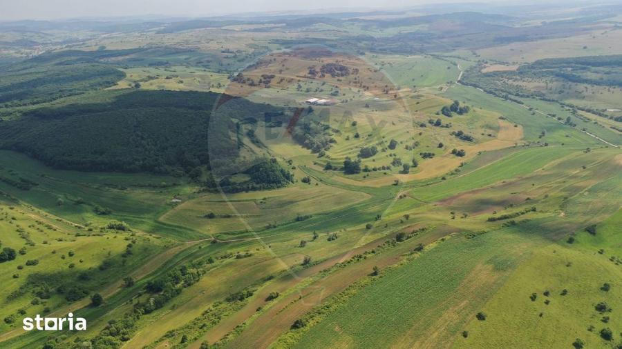 INVESTITIE REZILIENTA 300 HA Teren de vanzare in Zlagna Sibiu - 1