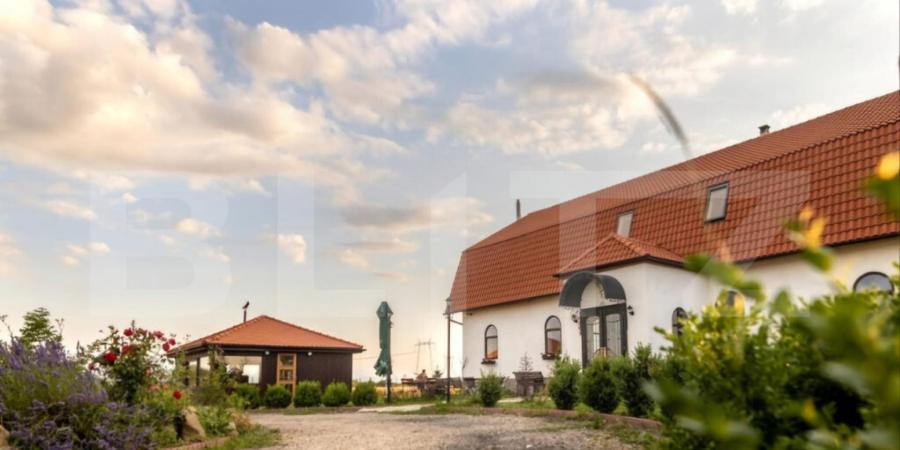 Conac de vanzare 7 camere cu bai proprii, crama, ciubar ? - 1