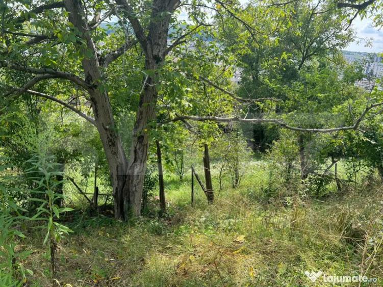 Casa Str. Negoiului, 2.249 mp teren, zona lini?tita, ved - 2