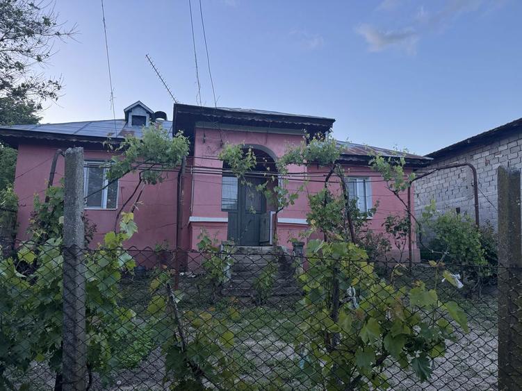 Casa cu teren intravilan 3100 mp - 8