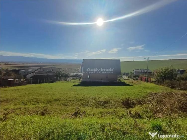Teren intravilan cu proiect de casa autorizat in Sura Mare - 4