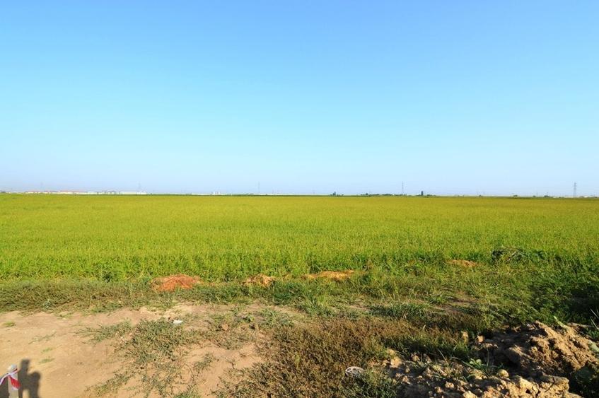 Oferta Vanzare Teren Intravilan Dobroesti - 8