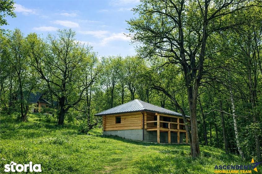 3.000mp de incantare montana cu cabana din lemn masiv, Zarnesti Tohani - 5