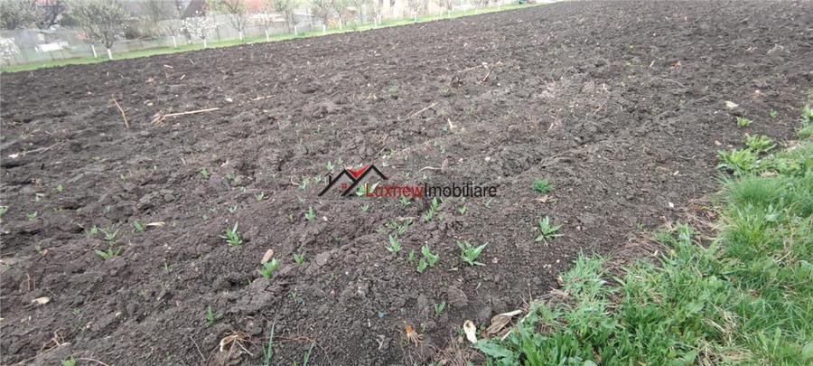 Teren intravilan 600 mp cu utilitati in Suceagu! - 1