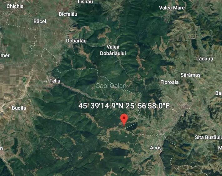 Teren - padure Teliu - Bradet