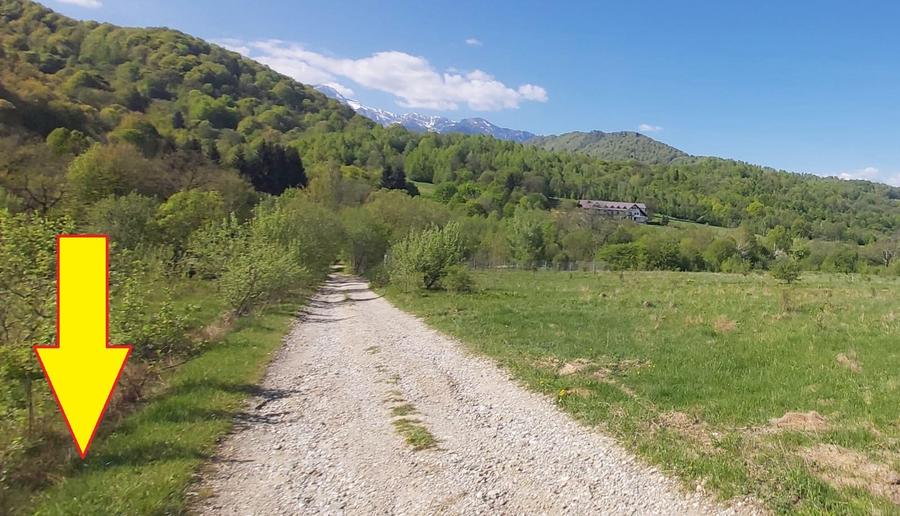 Vanzare 1266 mp teren superb Cheile Rasnoavei la munte langa padure si pensiuni - 12