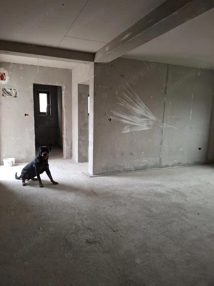 Ocazie!! Sanandrei Casa individuala [GRI ] 4 Camere parter - 2