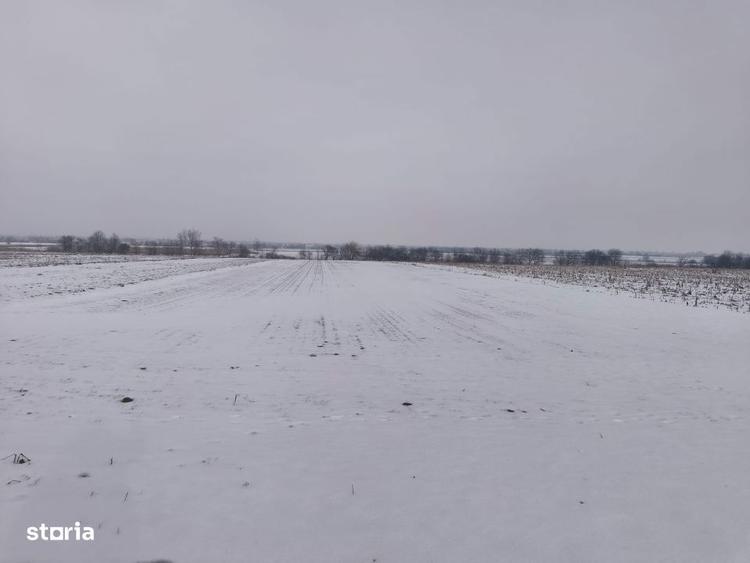 Teren 6000mp, 30 ml deschidere la DN 2H, Horodnic de Jos, Radauti - 3