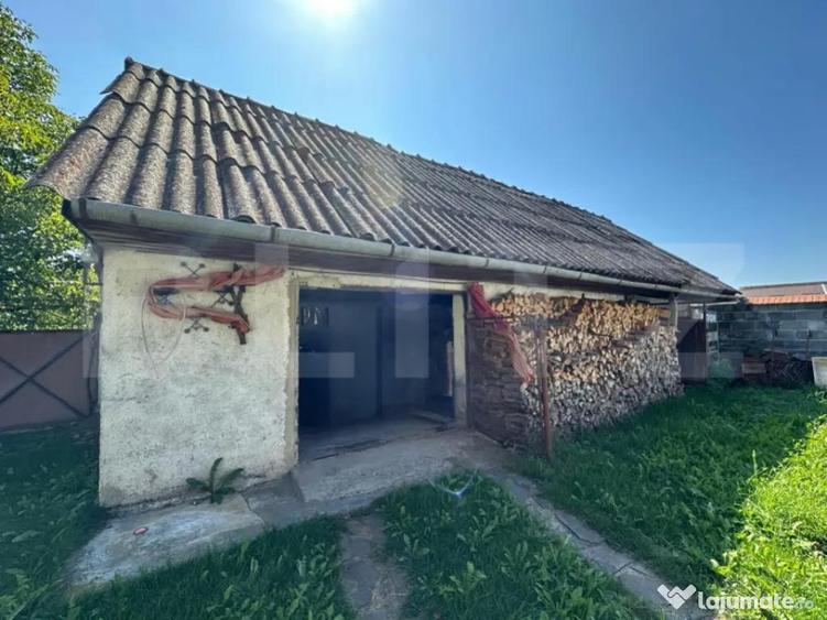 Casa saseasca de vanzare, curte, gradina, teren 3000 mp - Ji - 4