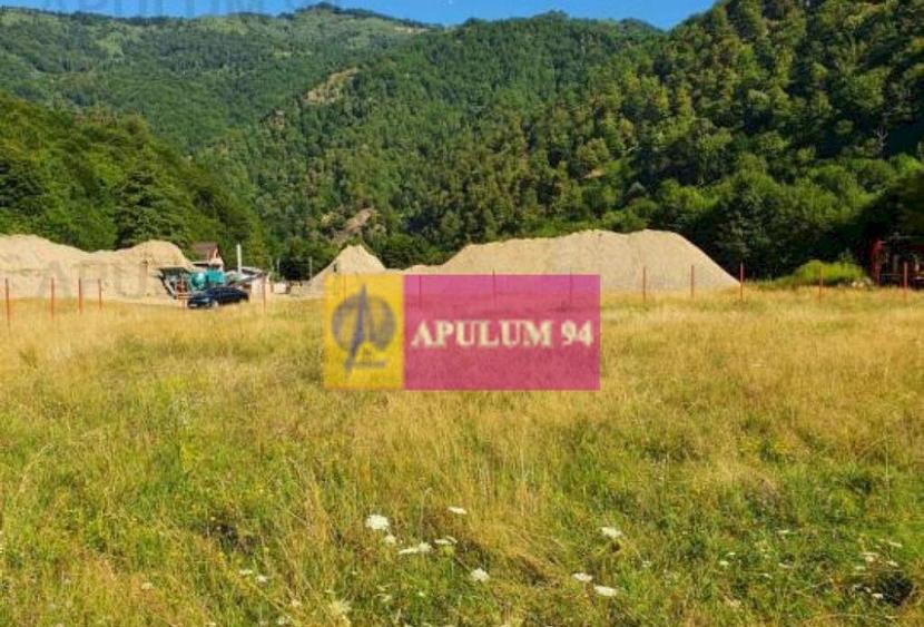 Teren Jude?ul Valcea - Brezoi, Valea lui Stan - 15