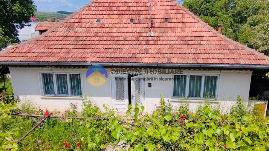 Casa traditionala Bodesti